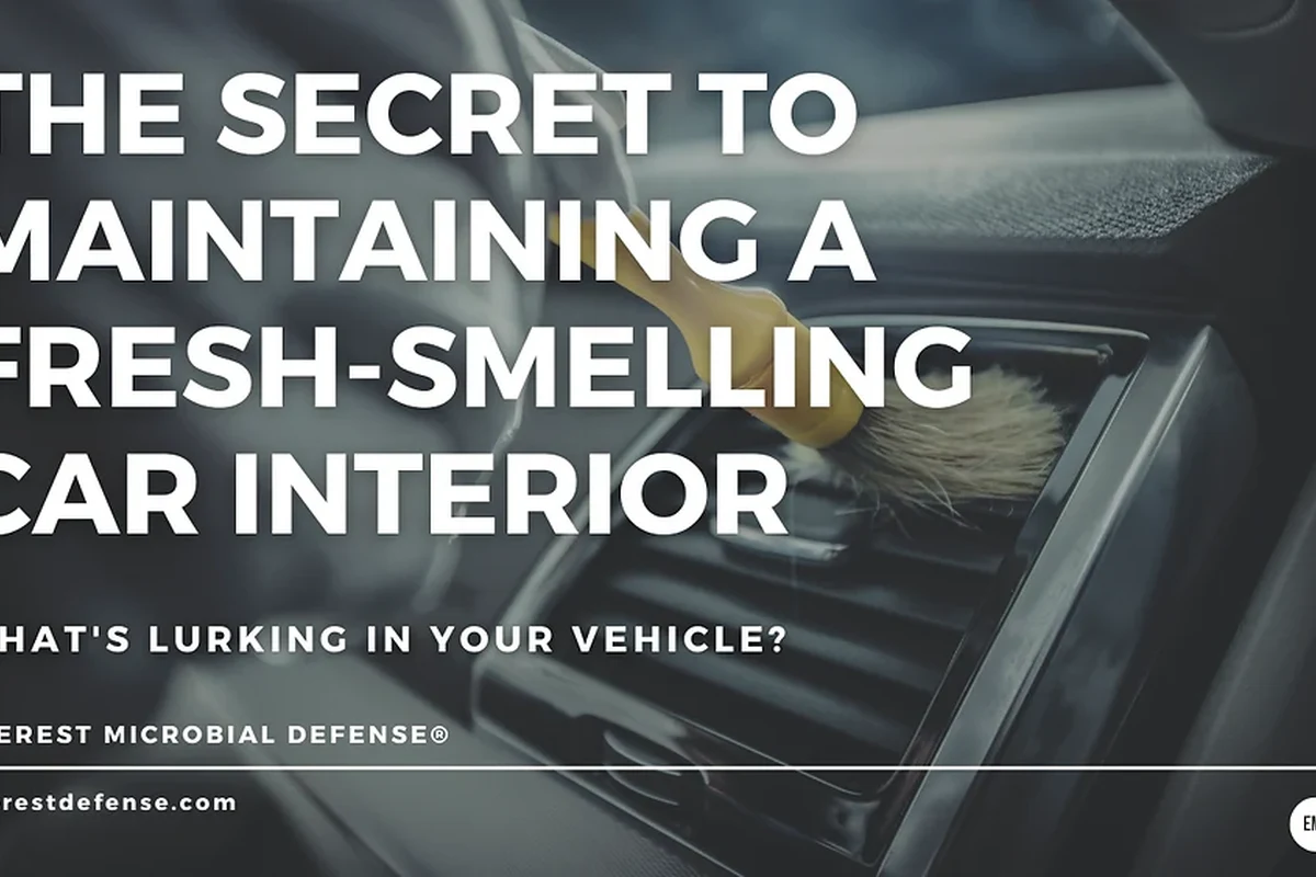 Clean the Interior of a Car for a Fresh and Inviting Ride
